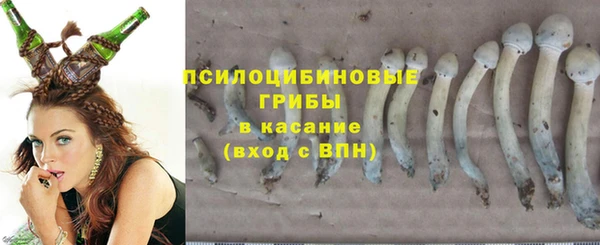 Альфа ПВП Медвежьегорск